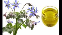 Borage Oil