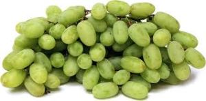 Fresh Green Grapes