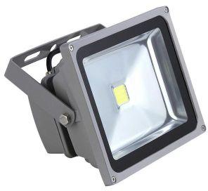 LED Flood Lights