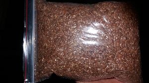 Sortex Linseed