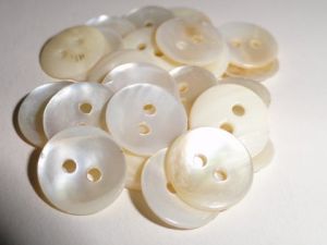 Indian River Shell Buttons