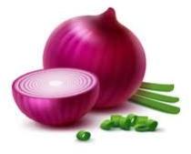 Fresh Onion