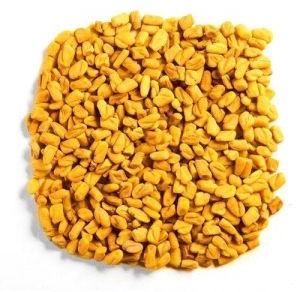 Fenugreek Seeds