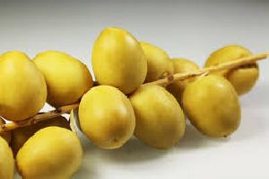 FRESH BARHI DATES