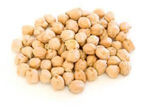 Kabuli Chickpea