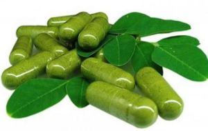 Moringa Capsules