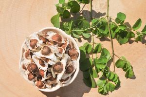 Moringa Seeds