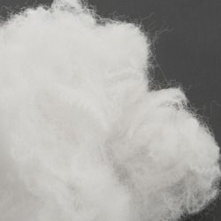 Polyester Fibre