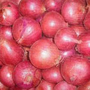 Fresh red and white onions