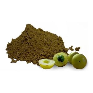 Amla Powder