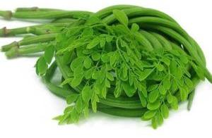 Moringa Leaves