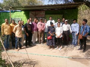 Aloevera Medicinal Plants Cultivation Training