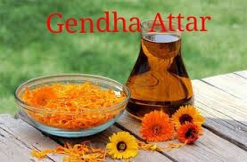 Gendha Attar