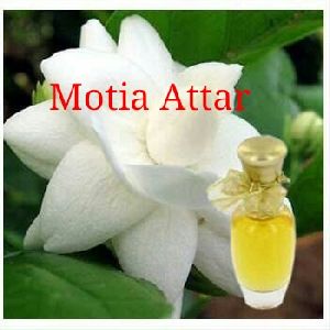 Motia Attar