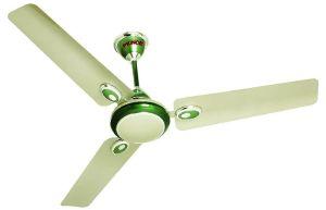 Ceiling Fans