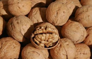 Shelled Walnut