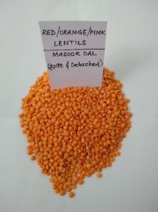 Indian Pulses