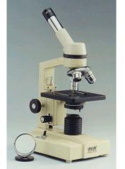 Student Inclined Microscope Model