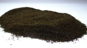 Black tea dust