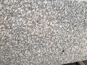 P White Granite Slabs