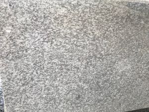 Satrang White Granite Slabs