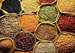 Indian Pulses