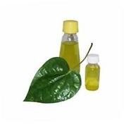 Betel Leaf Oil