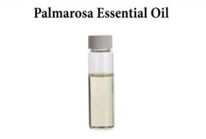 Palmarosa Essential Oil