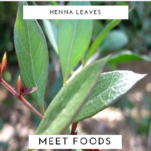 Henna Leaves