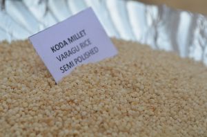 Koda millet semipolished (varagu)