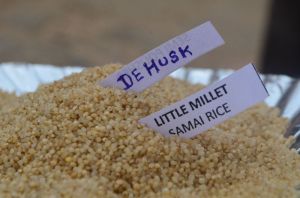 Little millet dehusk (samai)