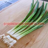 Fresh Scallion Onion