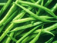 Guar Beans