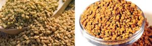 Fenugreek