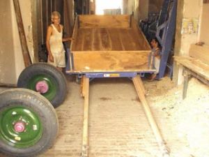 Bullock Carts