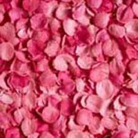 Rose Oil