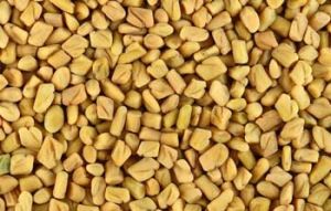 Fenugreek Seeds