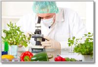 food analysis services