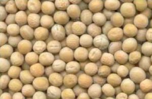 Yellow Peas