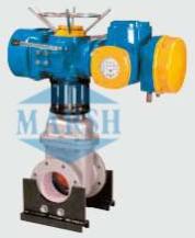 Motorised Sluice & Gate Valves