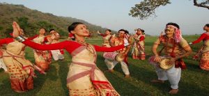 assam tour packages