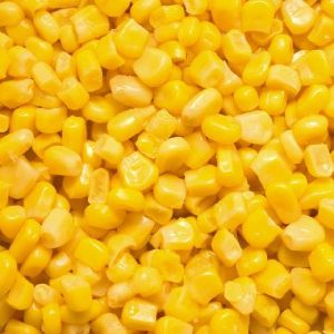 IQF Frozen Sweet Corn