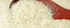 Jasmine Rice