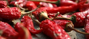 red dry chili