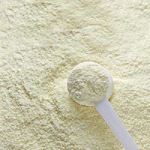 dairy powders