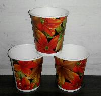 biodegradable disposable paper cups