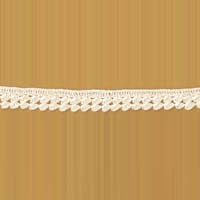 Crochet Lace Border