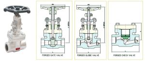 Forged Valves