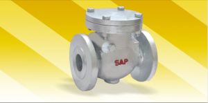 Sap Check Valves