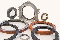 oil seals